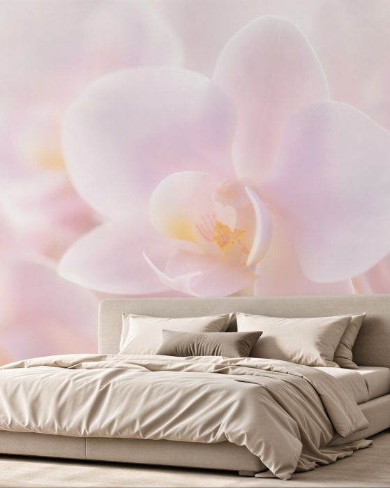 Fototapeta delikatna biała orchidea