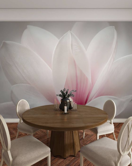 Fototapeta delikatne płatki magnolii w zbliżeniu