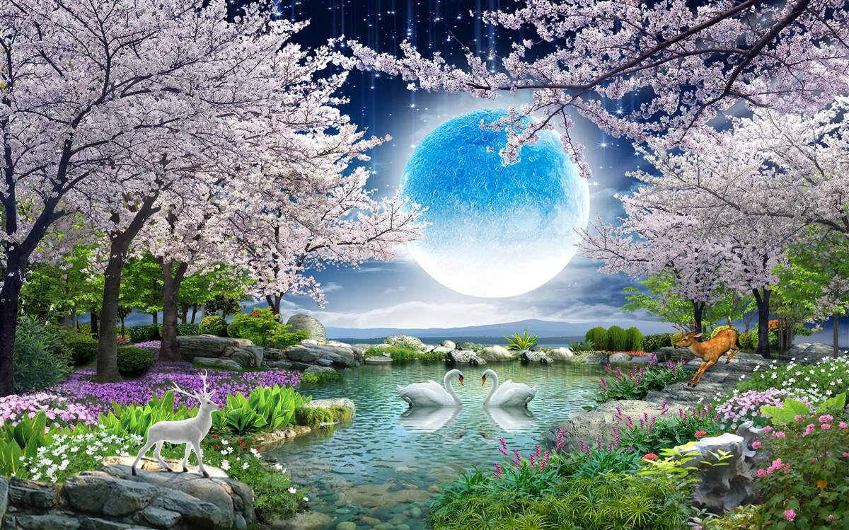 Fototapeta bajkowy księżyc w kwitnącym ogrodzie sakura