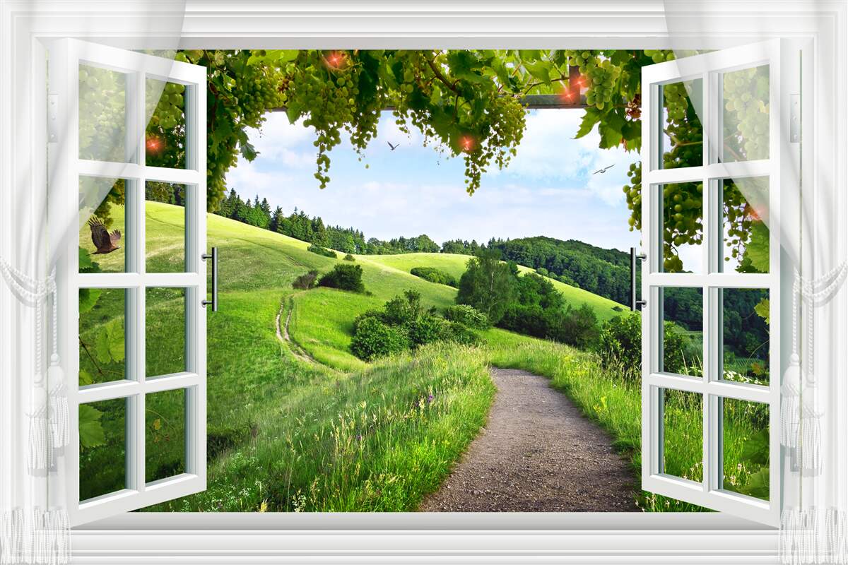 Fototapeta letnia panorama z okna