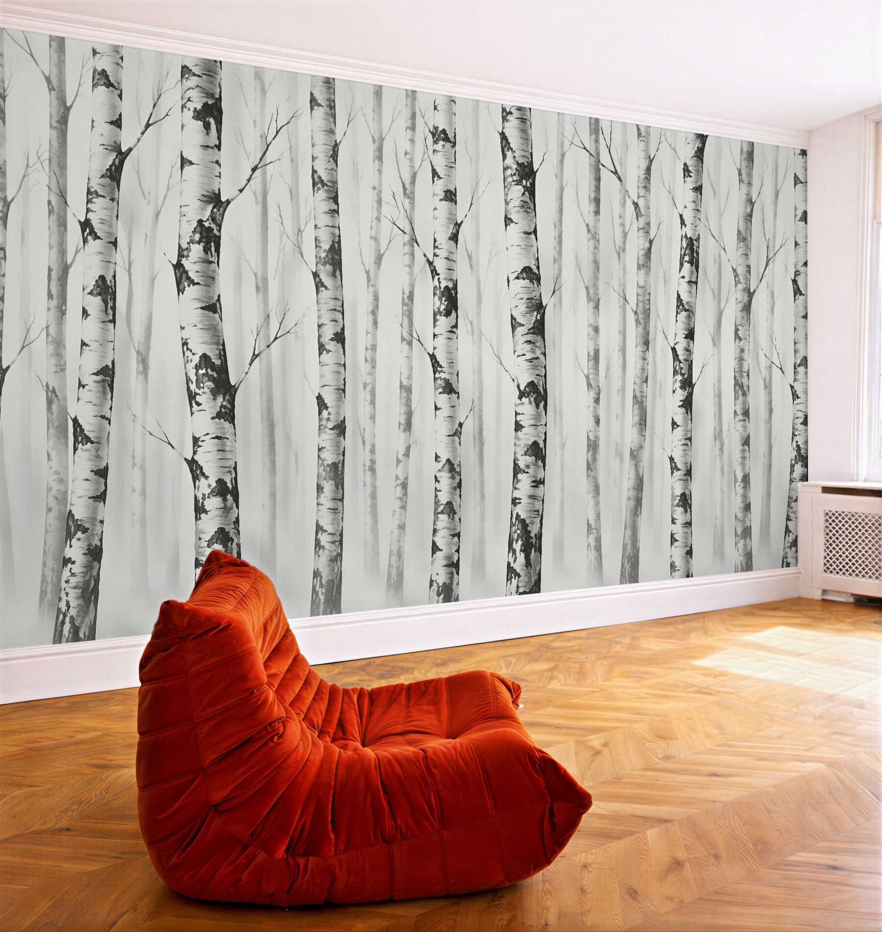 Fototapeta brzozowy las we mgle